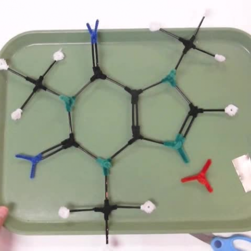 molecular model kit