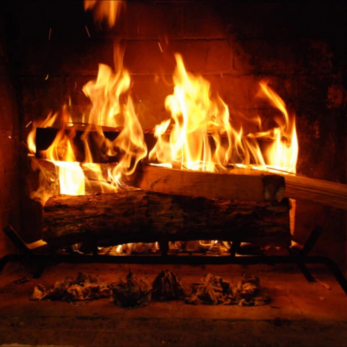 SocialSciencesEL416 Fireside Chat Podcast