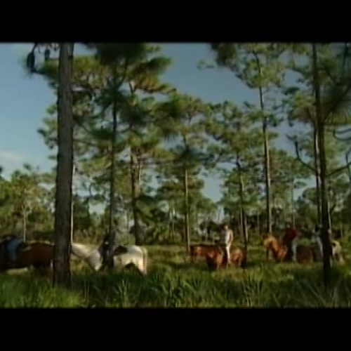 Expedition Florida: Equestrian Trails at San Felasco Hammock Preserve State Park