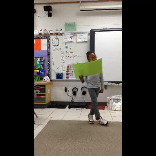 Amora Research Project First Grade