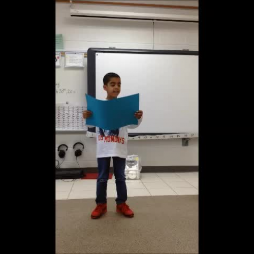 Ramone Research Project