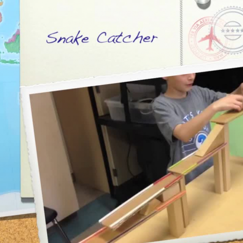 Snake Catcher