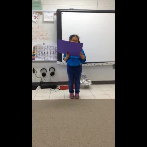 Steffenie Research Project