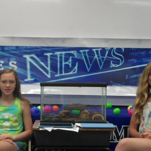 April 3 Coleman Elementary Announcements