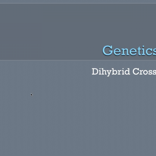 Genetics I: Dihybrid Crosses