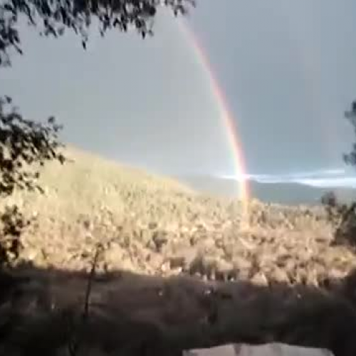 Yosemitebear Mountain Double Rainbow 1-8-10