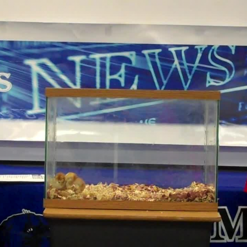 March 6 5th Grade Announcements