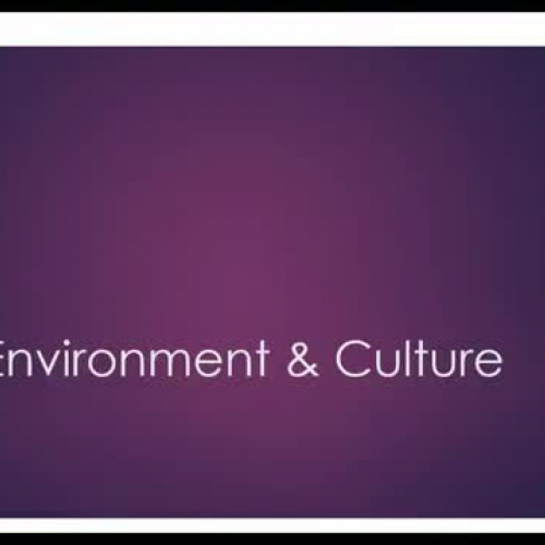 The Environment & Culture