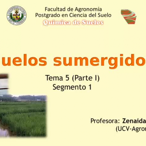 Suelos inundables-Segmanto 1