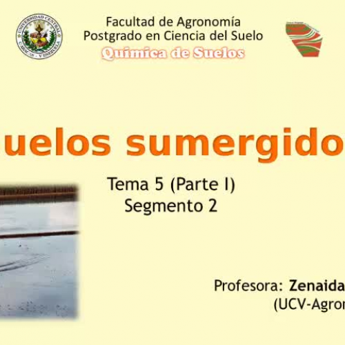 Suelos inundables- Segmento 2