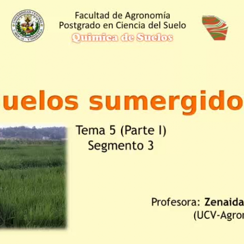 Suelos inundables-Segmento 3