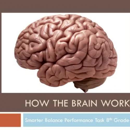 ELA-Grade 8_How The Brain Works (Thousand Oaks, Simi Valley)