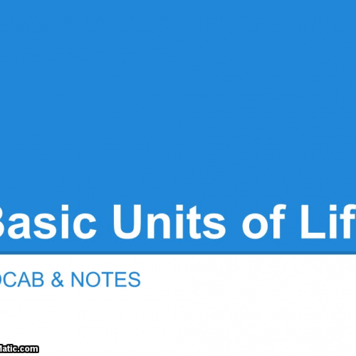 Basic Units of Life NOTES