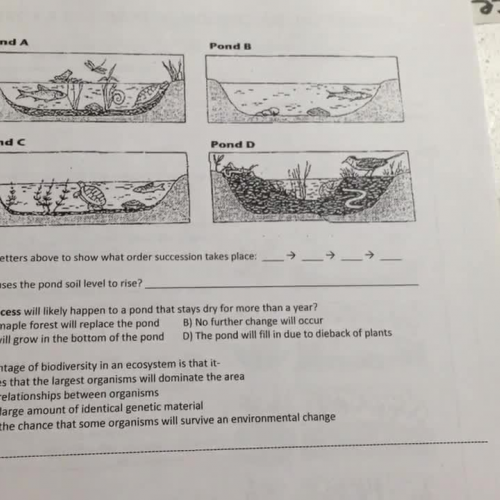 Pond Succession Individual Lesson