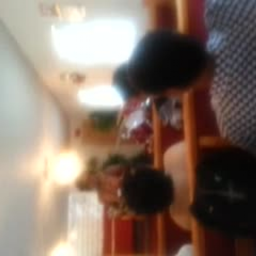 Informative speech 2 Deborah Williams