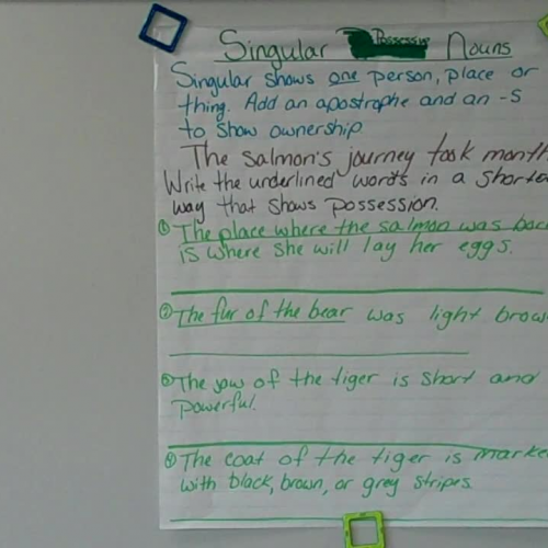 Singular Possessive nouns