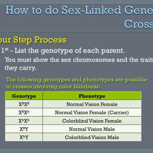 Genetics II: Sex-Linked Crosses