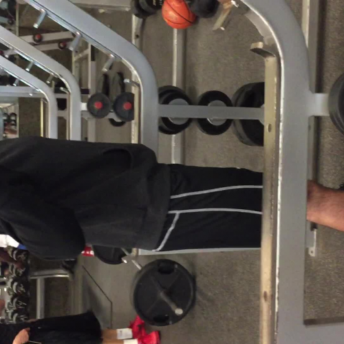 2.04 Muscular Strength Video