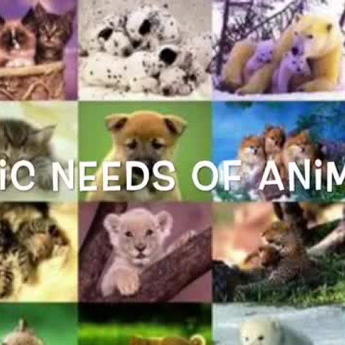OCSD5 BIG IDEA: Basic Needs of Animals (Sheridan Elementary, Grade 2) 