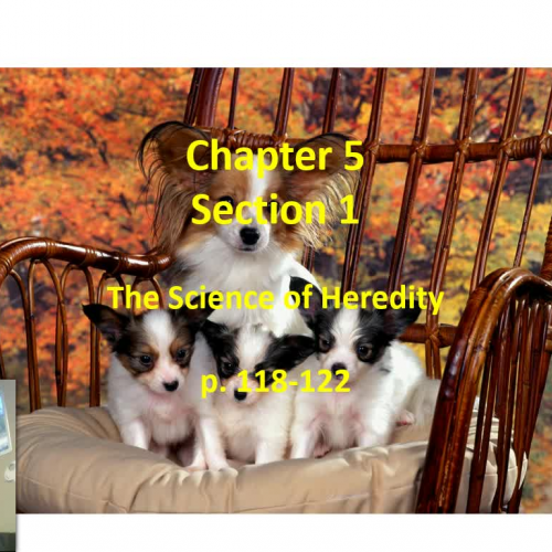 Chapter 5 Section1