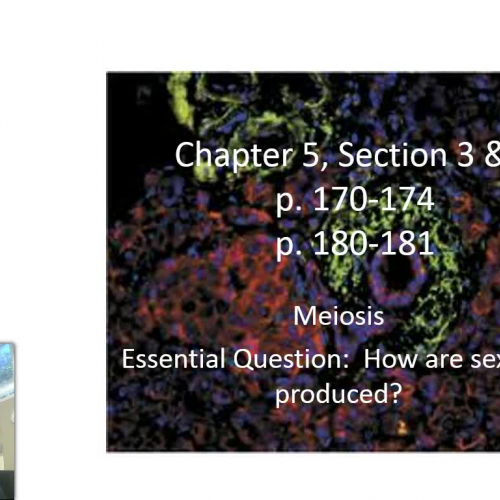 Chapter 5 Section 3 & 4