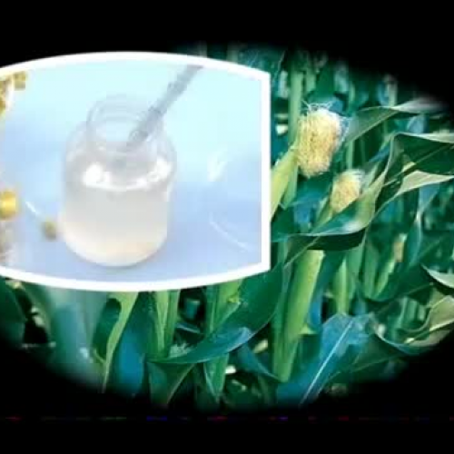 Benefits of Agricultural Biotechnology 