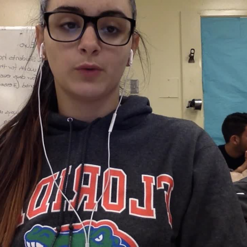 Spanish 3.02 Visual Assignment