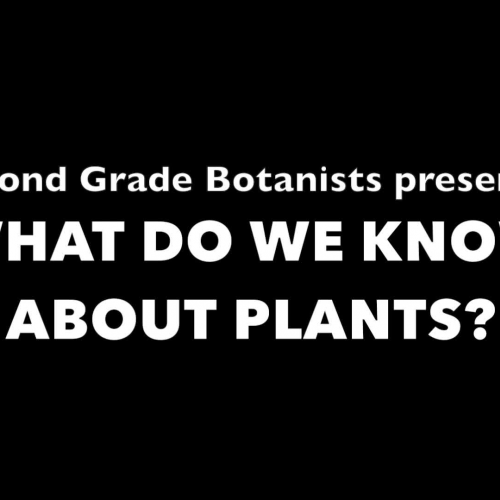 What Do We Know About Plants