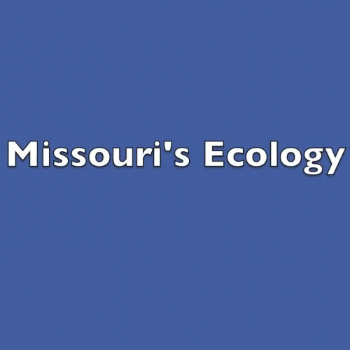 Missouri Animals