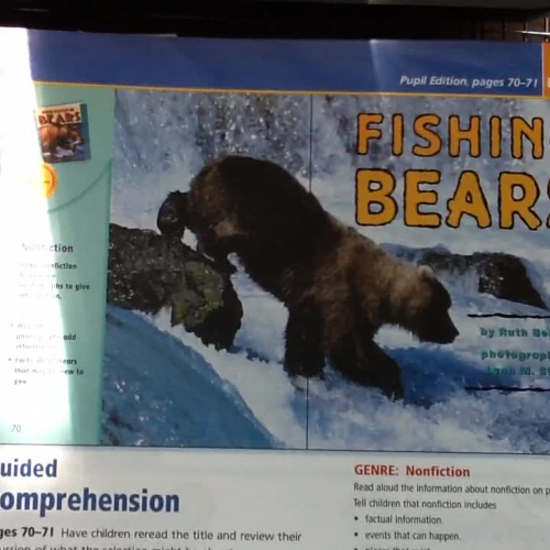 Trophies Reading Story: Fishing Bears