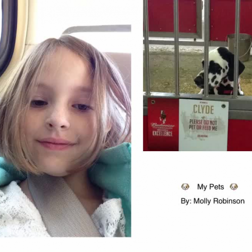 My Pets - An Original Book