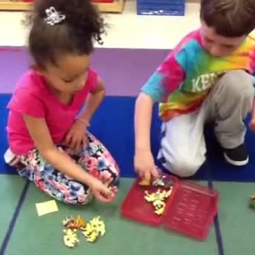 Kindergarten Video-Felkins