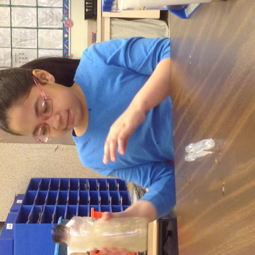 Science Fair Project