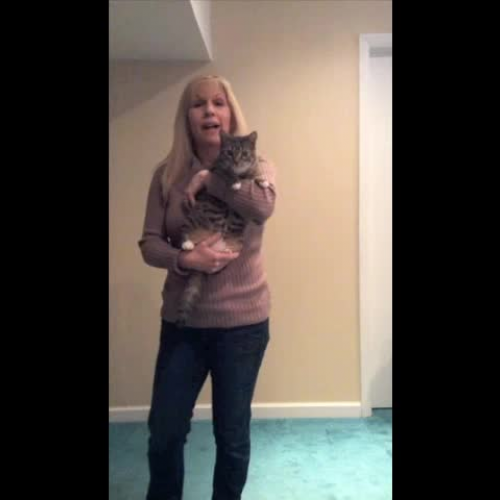 And Now Let's Practice!