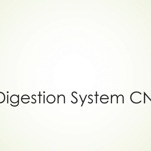 Digestive System CN