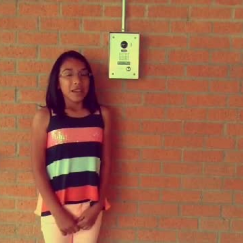 Security for Front Door Entry