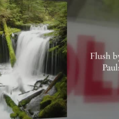 Flush Book Trailer