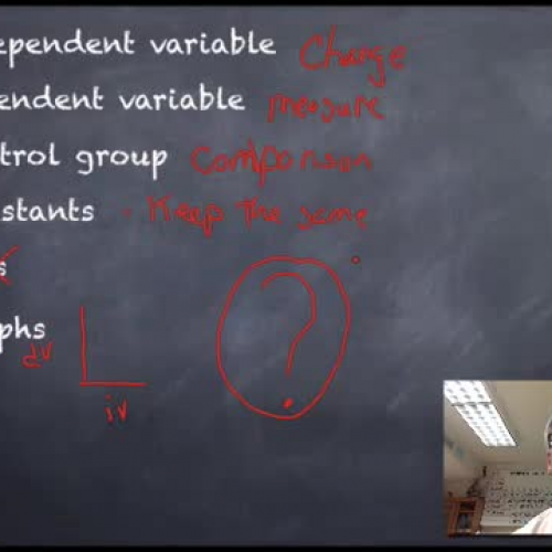 HSA Biology Review #1