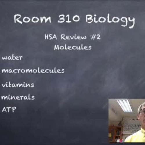 Biology HSA Review #2