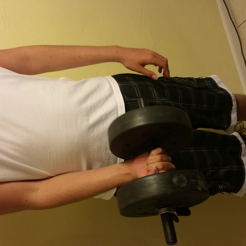  02.04 Muscular Strength Video yaasmani