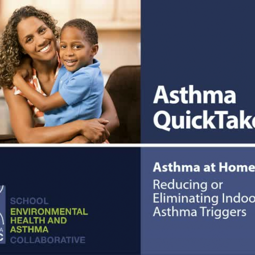 Asthma QuickTake — Asthma at Home: Reducing or Eliminating Indoor Asthma Triggers