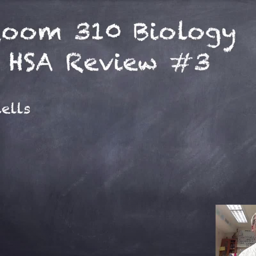 HSA Biology Review #3
