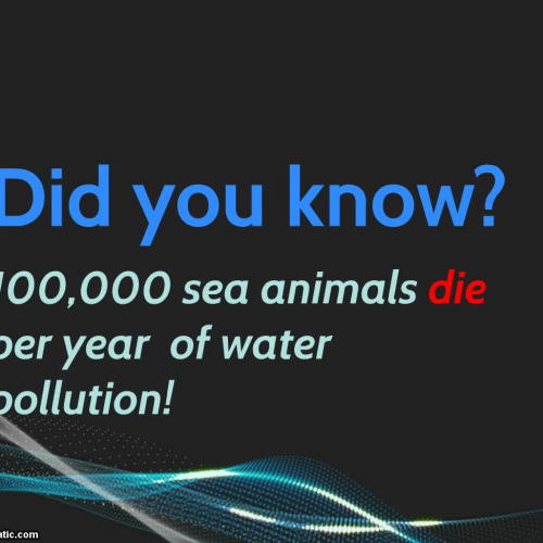 PSA: Ocean Conservancy