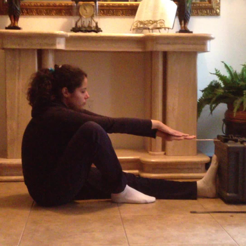 FLVS Personal Fitness Video 1