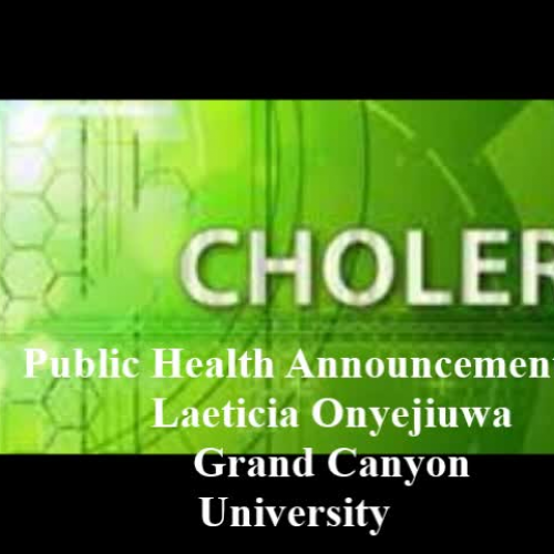 Lonyejiuwa HLT 555 Environmental Health Public Service Health Announcement