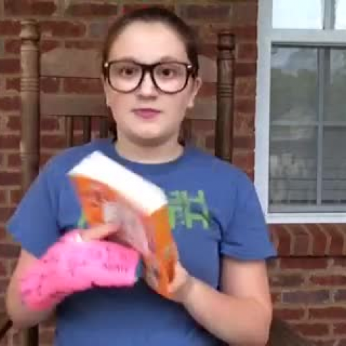 Propaganda Techniques