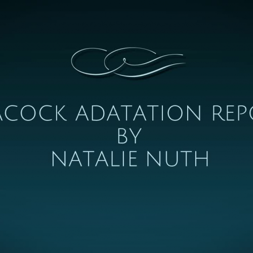 Peacock Adaptation Report
