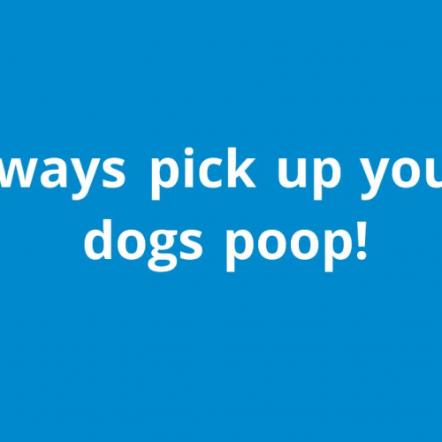 Dog Waste PHSA