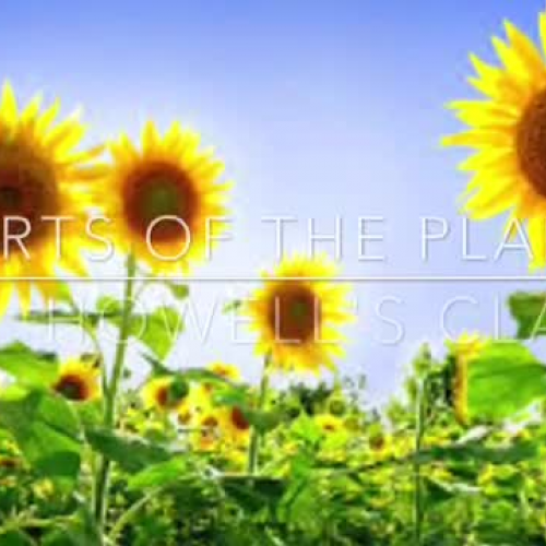 OCSD5 Big Idea:  Parts of a Plant (Sheridan) Ms. Howell's First Grade Class