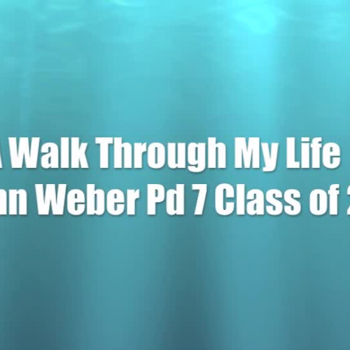 John Weber STML project 5-24-2015